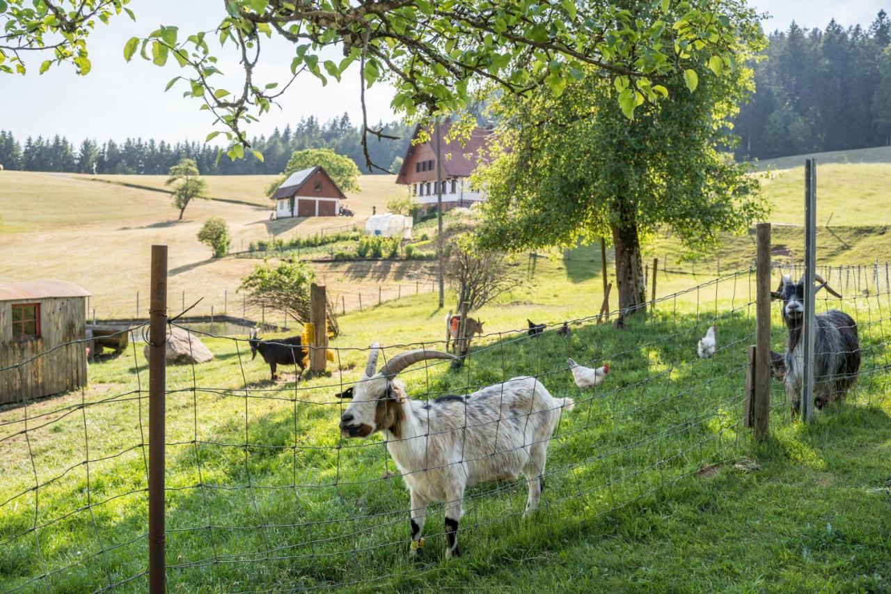 Klausenhansenhof Вольфах Экстерьер фото